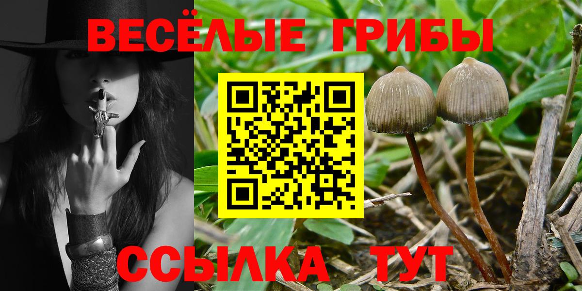Галлюциногенные грибы прущие грибы Наро-Фоминск